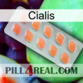 Cialis 26